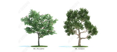 园林景观树木植物设计模型下载
