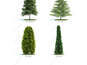 园林景观树木植物设计模型下载