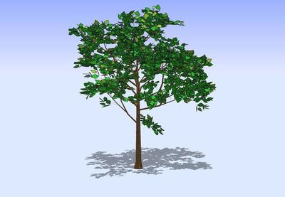 杂树3D模型3D模型免费下载(图片编号:4668086)_六图网16pic.com